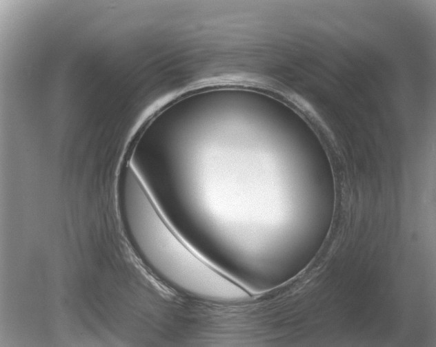 X0000080111230200612080947