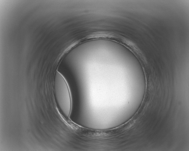 X0000080111233200612080947
