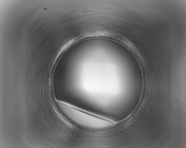 X0000080111234200612080947