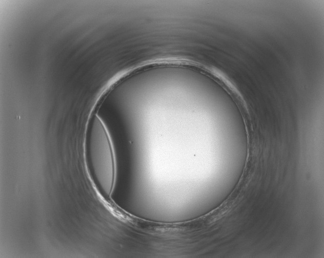 X0000080111237200612080947