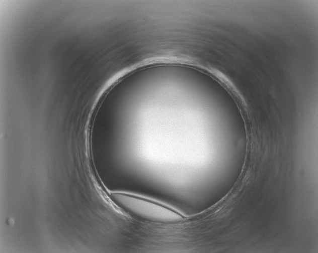 X0000080111238200612080947