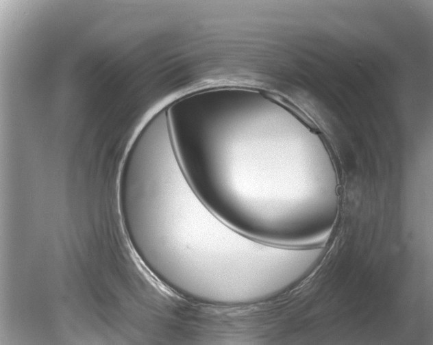 X0000080111246200612080947