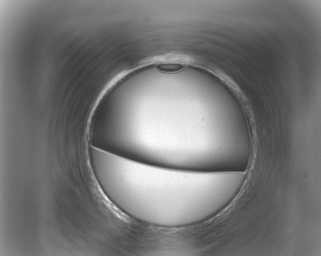 X0000080111248200612080947