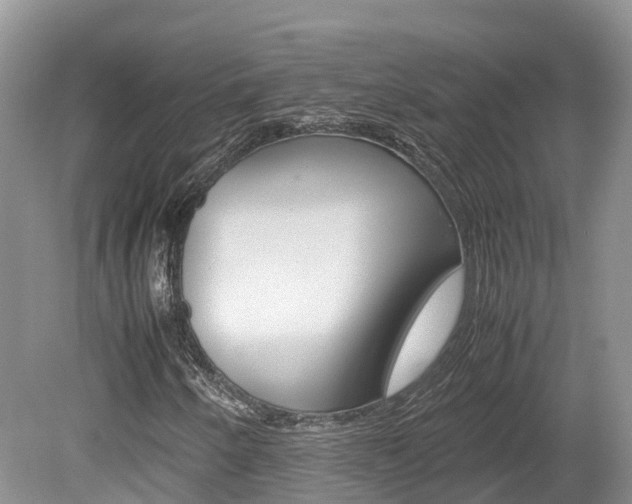 X0000080111250200612080946