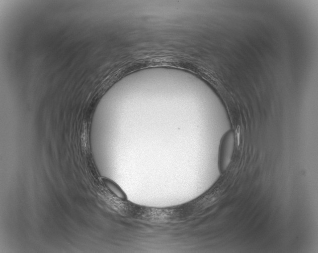 X0000080111251200612080946