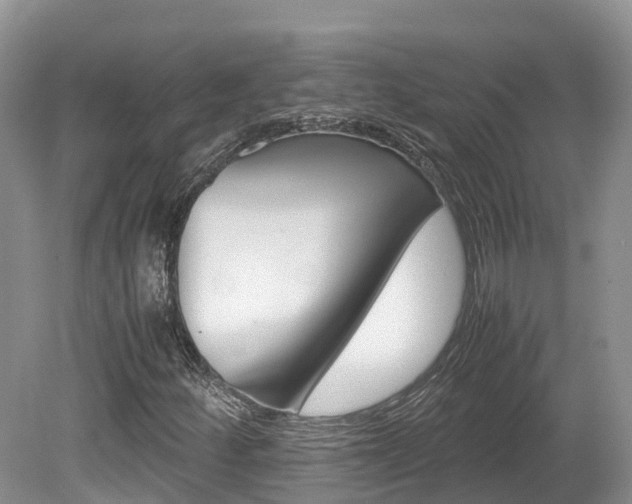 X0000080111252200612080946