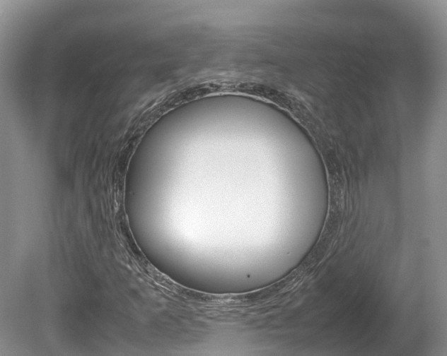X0000080111253200612080946
