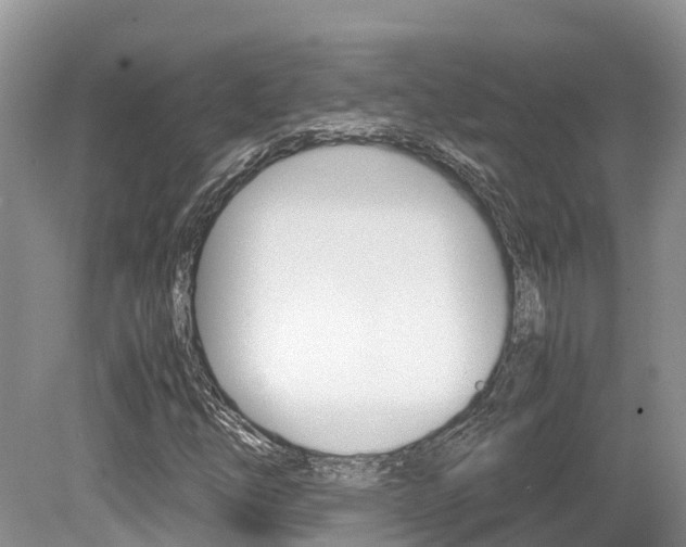 X0000080111254200612080946