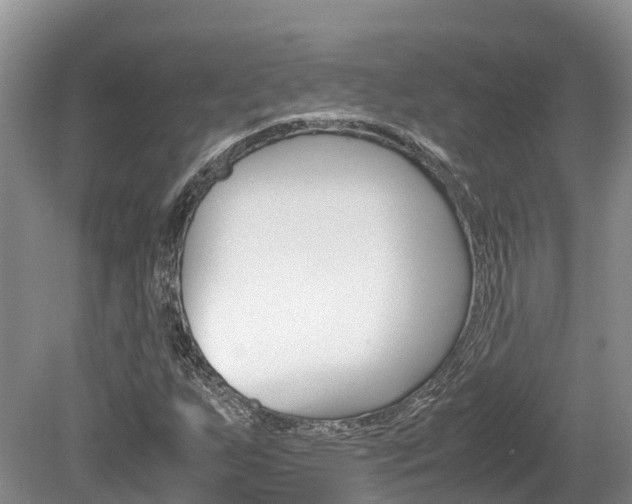 X0000080111255200612080946