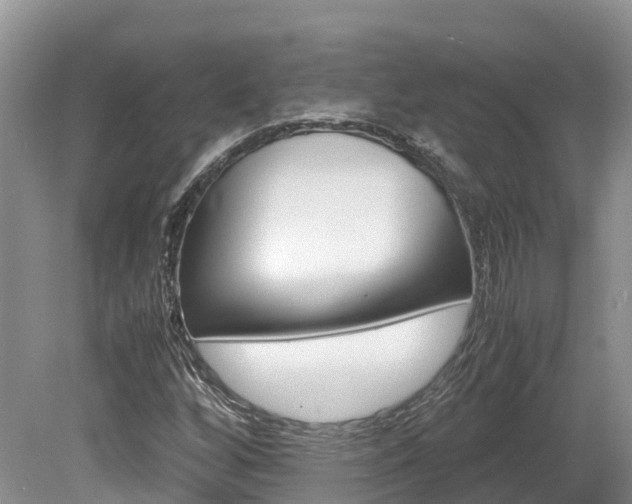 X0000080111256200612080946