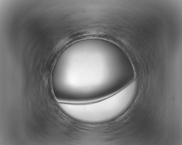 X0000080111257200612080946