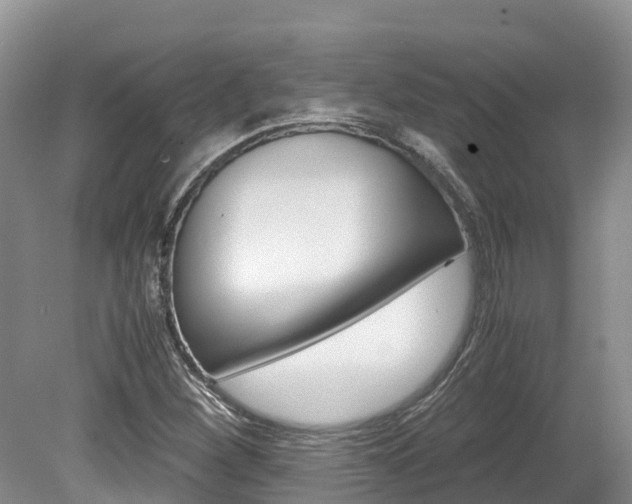 X0000080111260200612080946