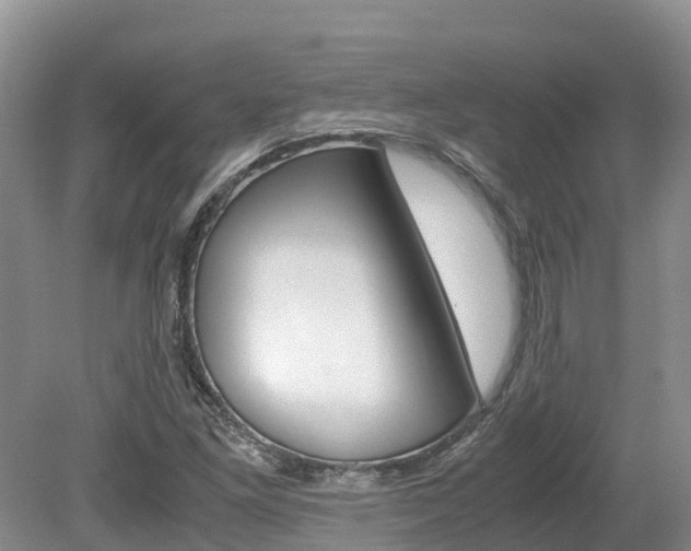 X0000080111261200612080946