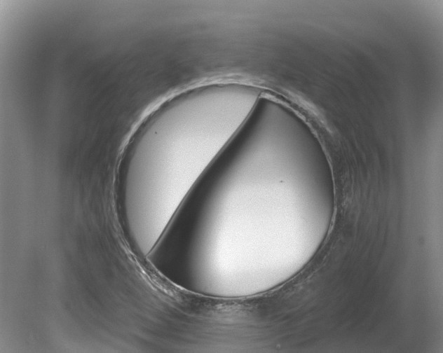 X0000080111264200612080946