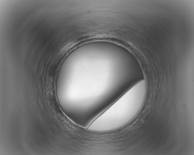 X0000080111265200612080946