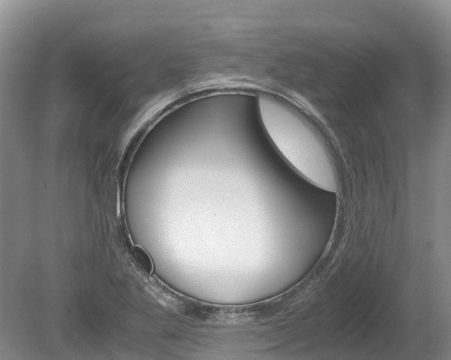 X0000080111269200612080946