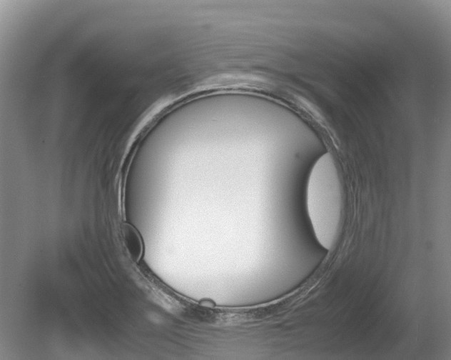 X0000080111275200612080946