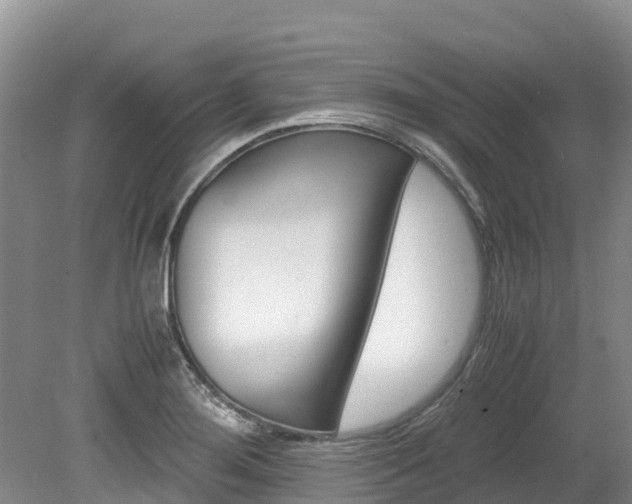X0000080111276200612080946