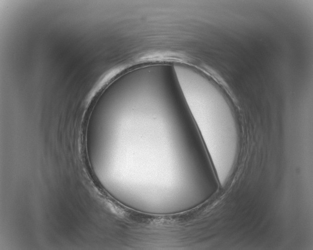 X0000080111277200612080946
