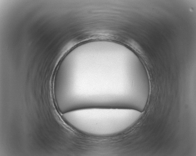 X0000080111283200612080946