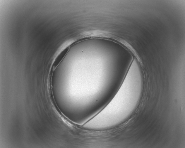 X0000080111285200612080946