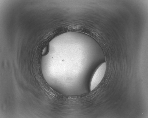 X0000080111297200612080945