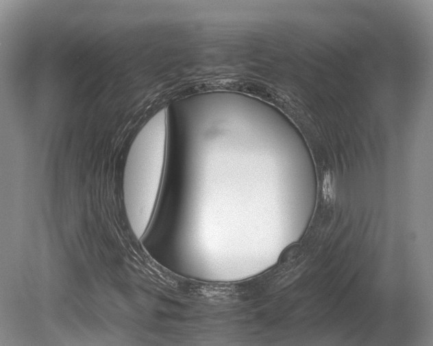 X0000080111299200612080945