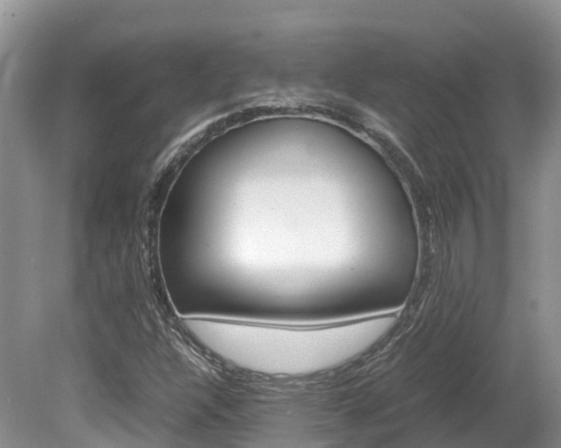 X0000080111304200612080945