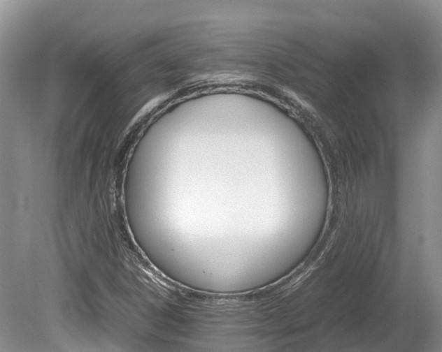 X0000080111306200612080945