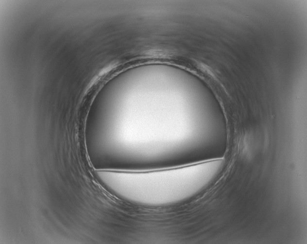 X0000080111307200612080945