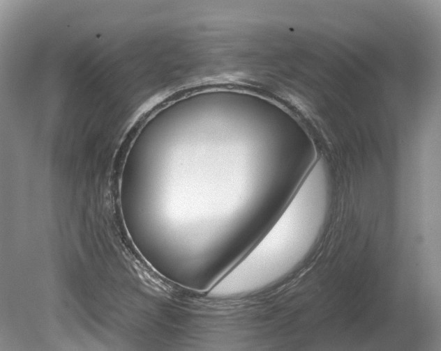 X0000080111308200612080945