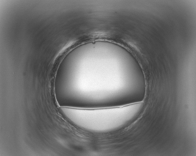 X0000080111309200612080945