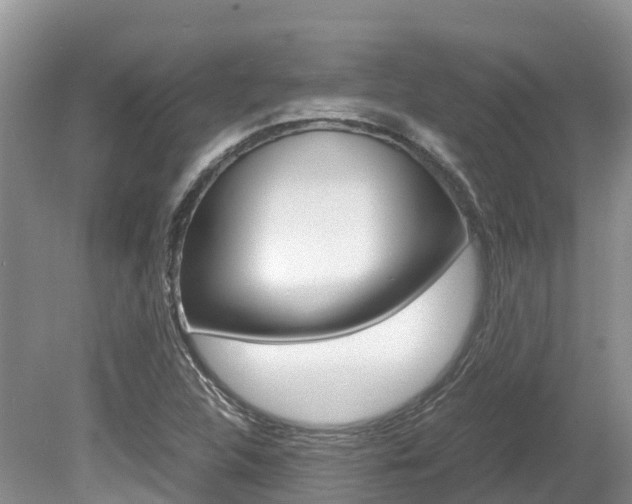 X0000080111312200612080945