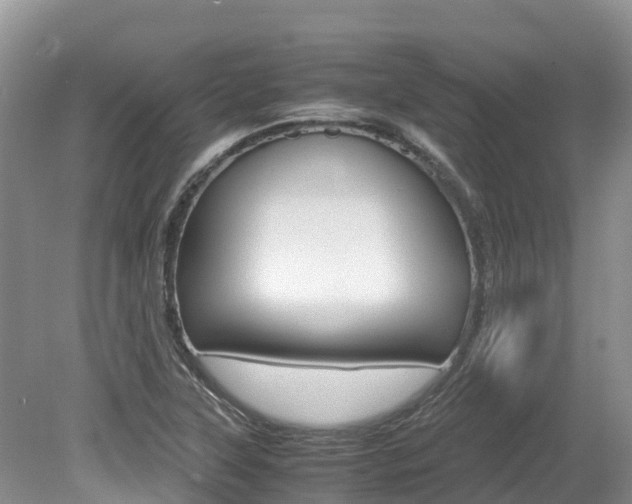 X0000080111315200612080945