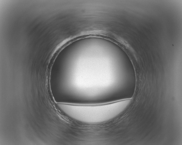 X0000080111316200612080945