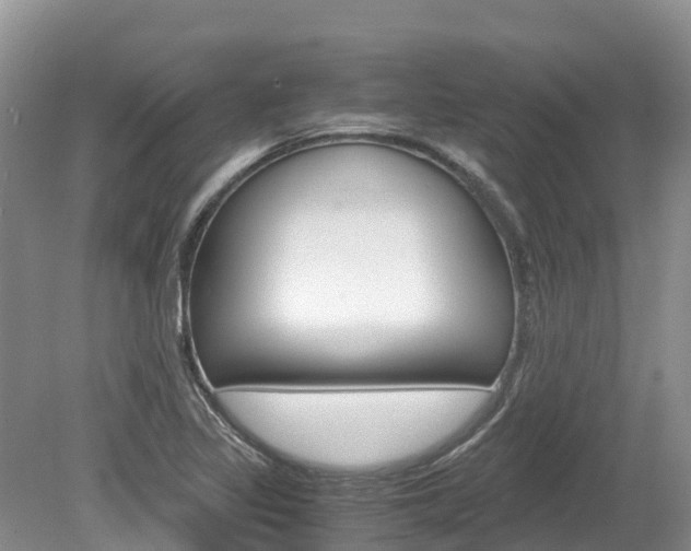 X0000080111317200612080945