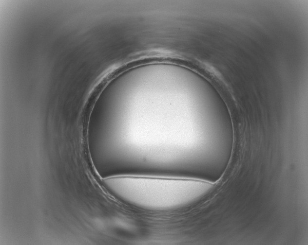 X0000080111318200612080945