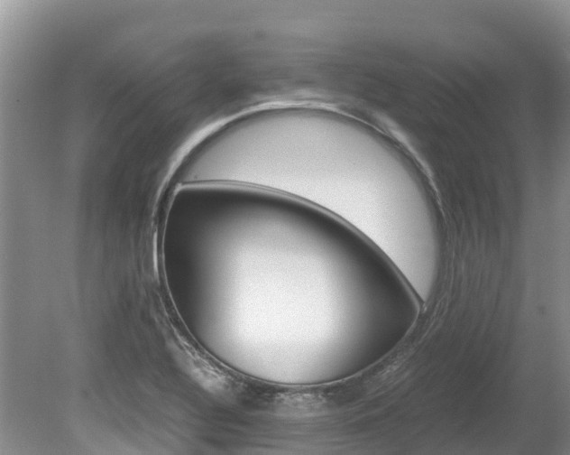 X0000080111320200612080945