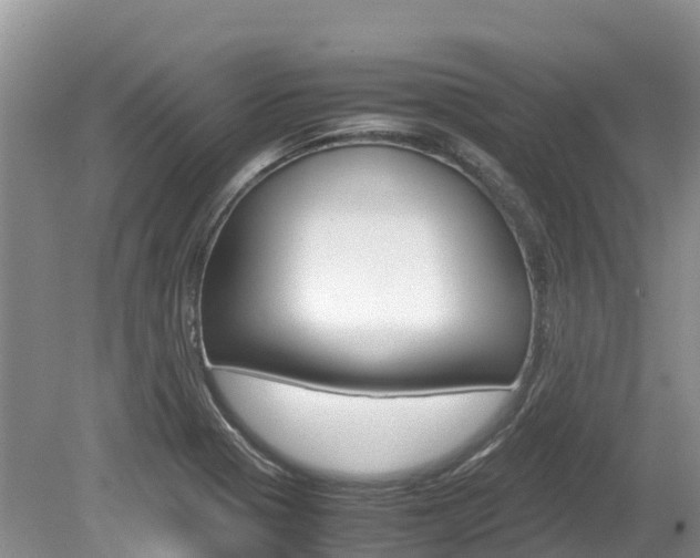 X0000080111321200612080945