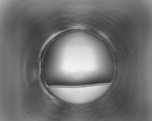 X0000080111323200612080945