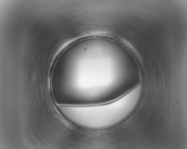 X0000080111324200612080945