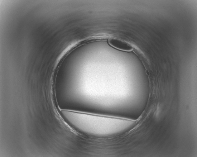 X0000080111325200612080945