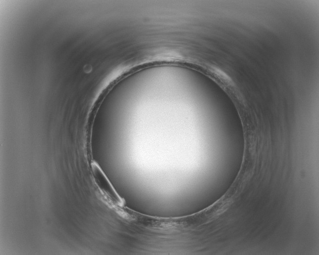 X0000080111326200612080945