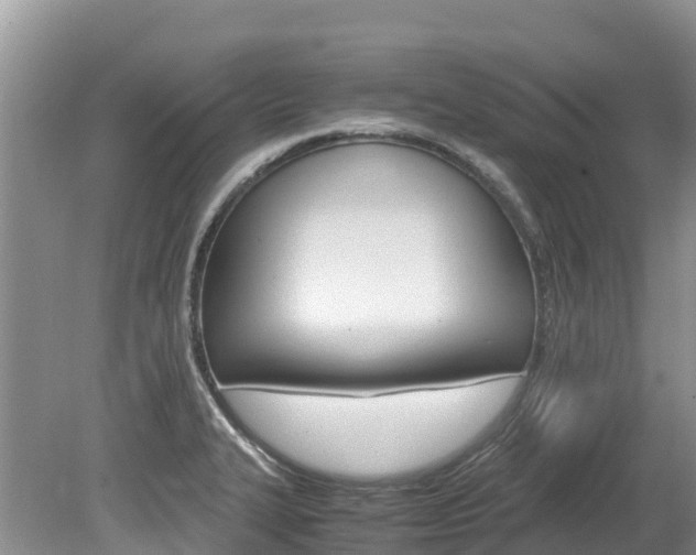X0000080111327200612080945