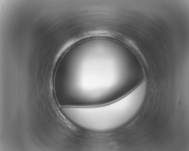 X0000080111328200612080945