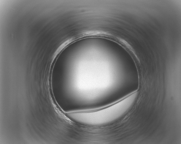 X0000080111330200612080945