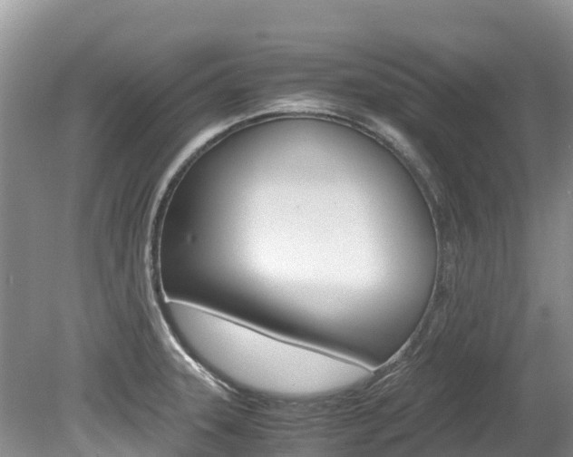 X0000080111331200612080945