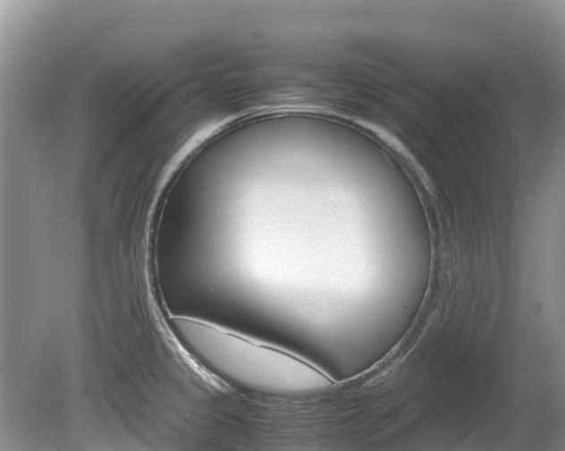 X0000080111333200612080945