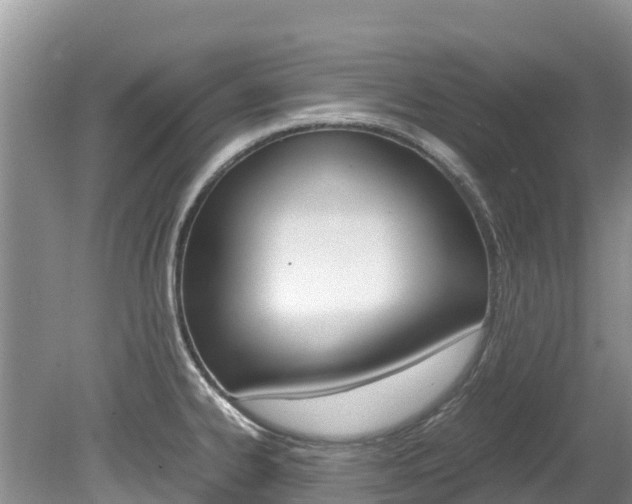 X0000080111334200612080945