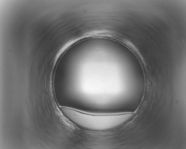 X0000080111336200612080945